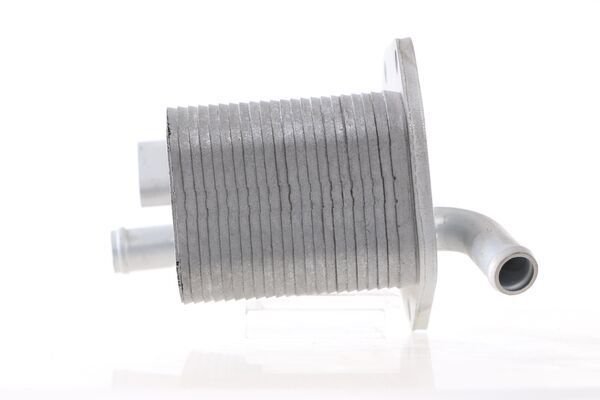 &Ouml;lk&uuml;hler, Motor&ouml;l