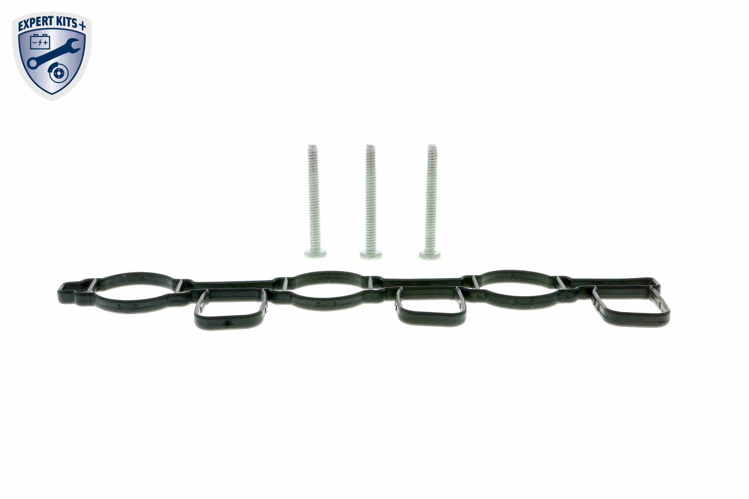 įsiurbimo kolektoriaus modulis