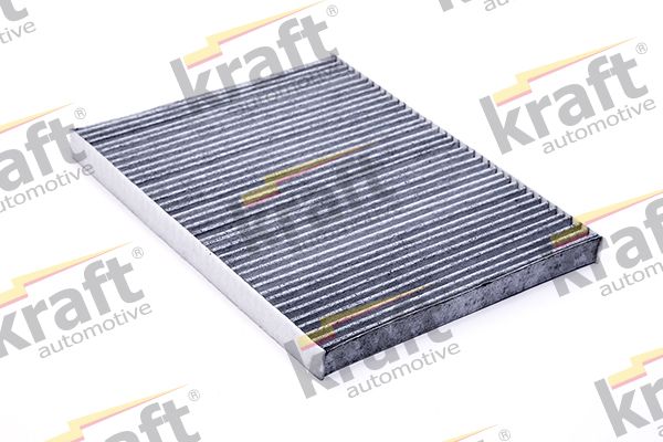 Filter, cabin air 1738500