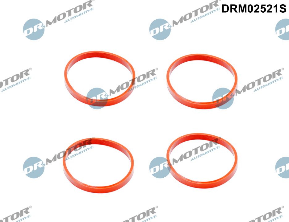 Dr.Motor Automotive DRM02521S Gasket Set, intake manifold