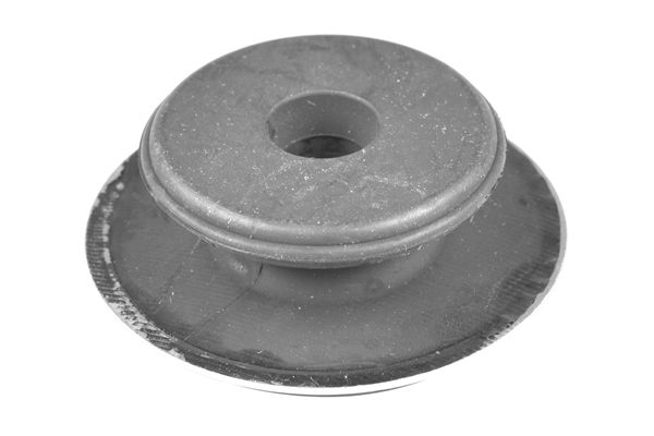 Federbeinst&uuml;tzlager