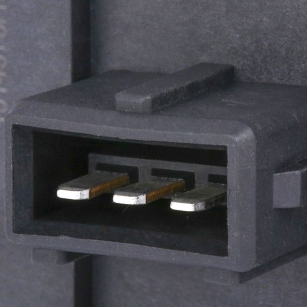 15186370_10.JPG