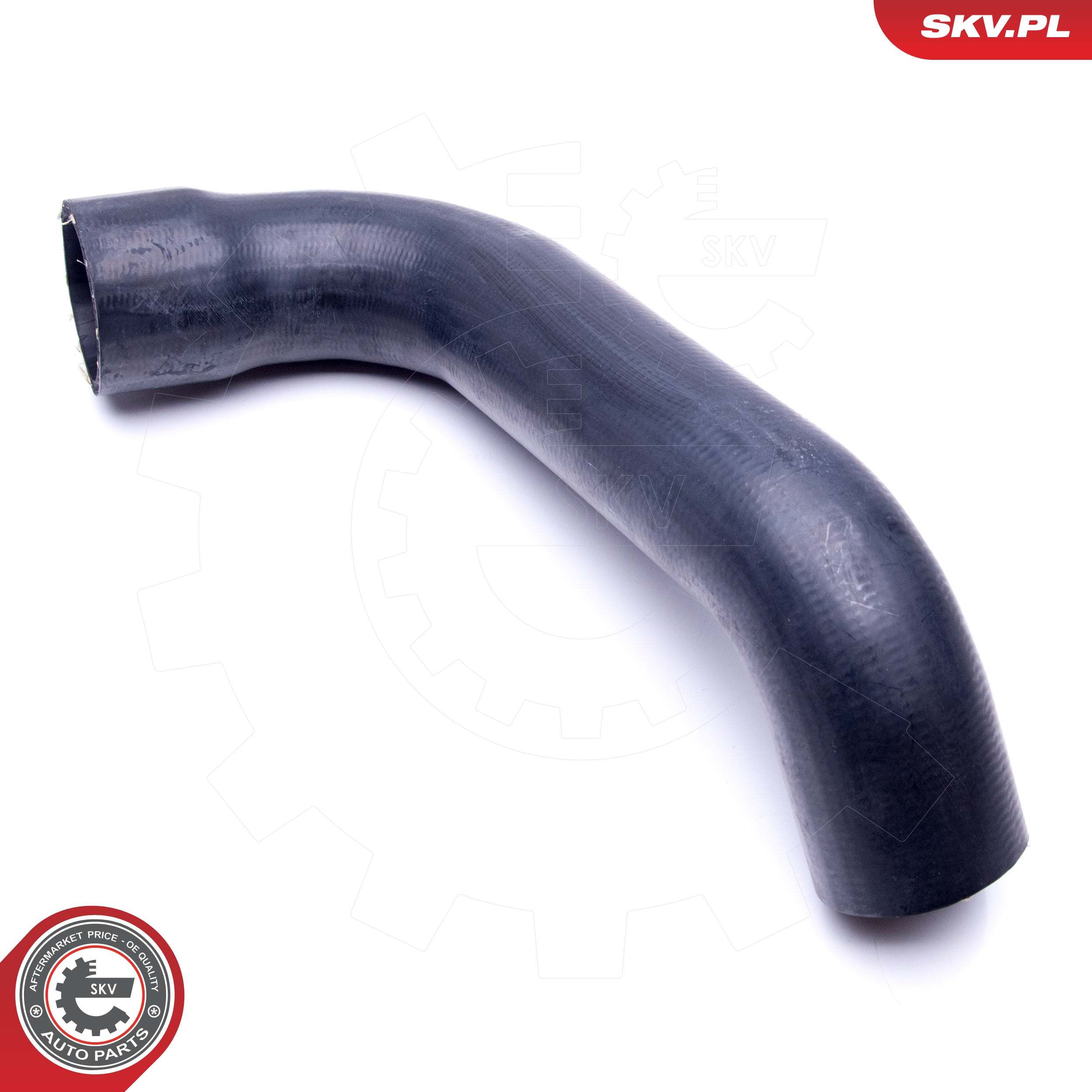 Abbildung des Artikels