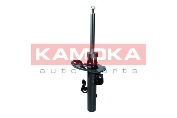 Shock Absorber 2000571