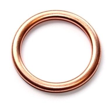 Seal Ring, oil drain plug 813.109