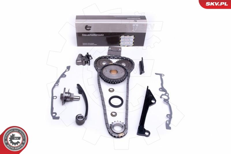 Timing Chain Kit 21SKV241