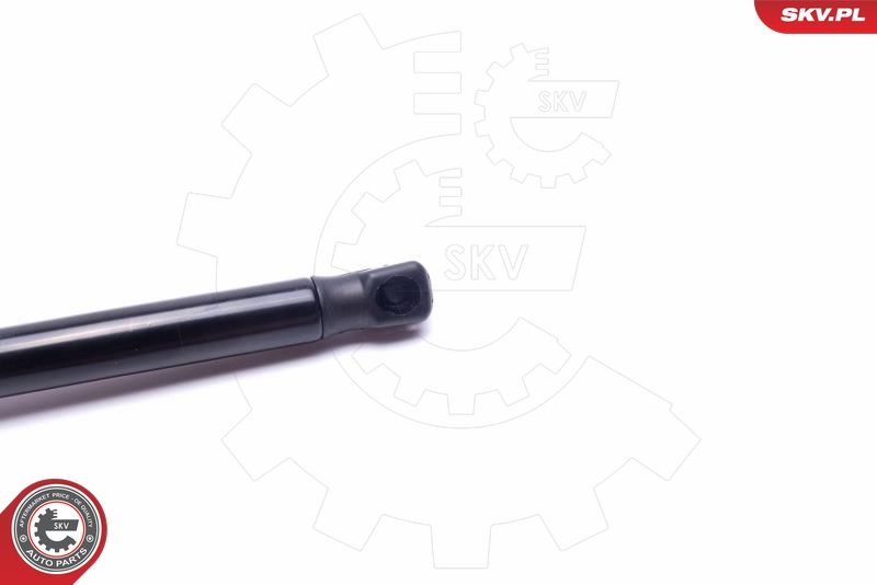 Gasfeder, Koffer-/Laderaum