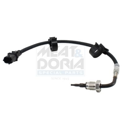 Sensor, Abgastemperatur