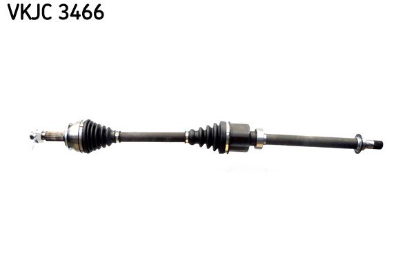 VKJC 3466.JPG