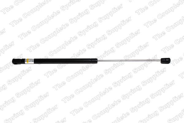 Gasfeder, Koffer-/Laderaum