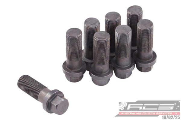 BOLT SET F/W FORD 12x1.0x32 (8) 132Nm - TecDoc Only