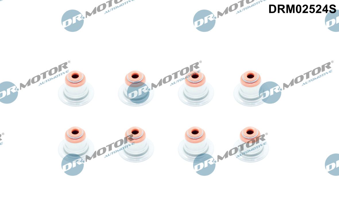 Dr.Motor Automotive DRM02524S Seal Set, valve stem