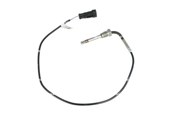 Sensor, Abgastemperatur Sensor, Abgastemperatur