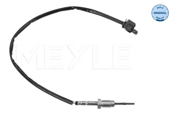 Sensor, Abgastemperatur