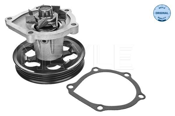 MEYLE 30-13 161 0010 Water Pump, engine cooling