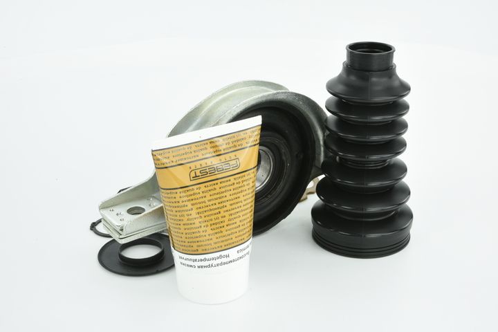 guolis, kardaninio veleno centrinis guolis