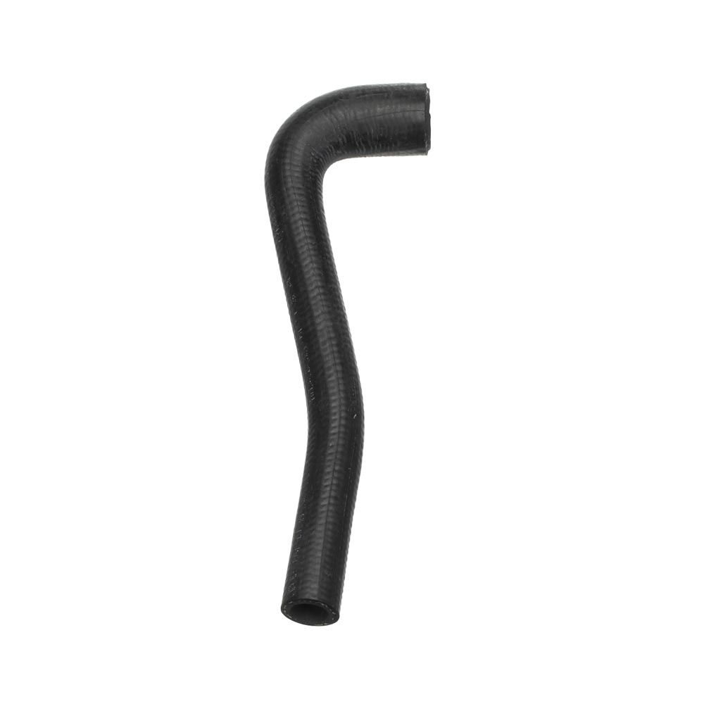 radiatoriaus žarna