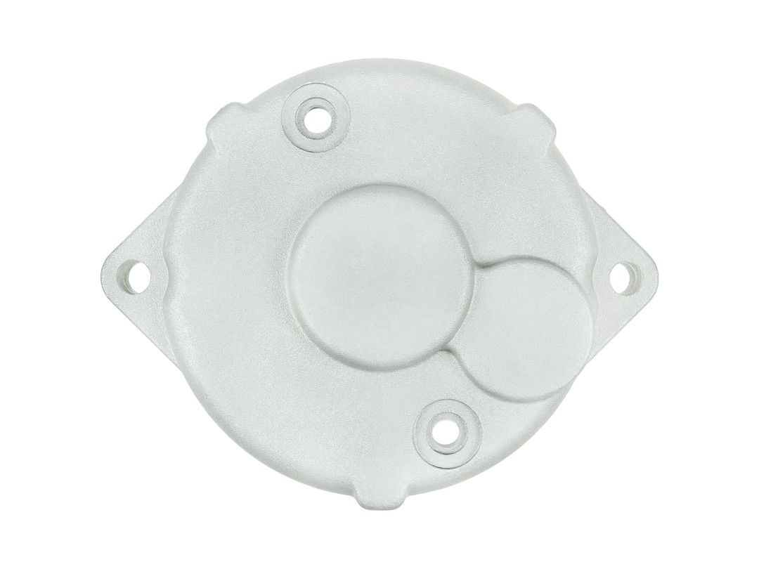 Starterdeckel, Vergaser