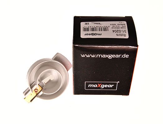 31-0204_3_LARGE.JPG