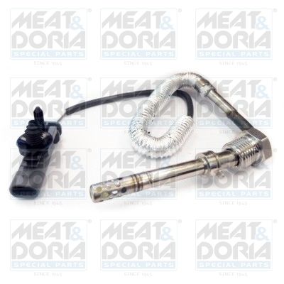 Sensor, exhaust gas temperature 12010