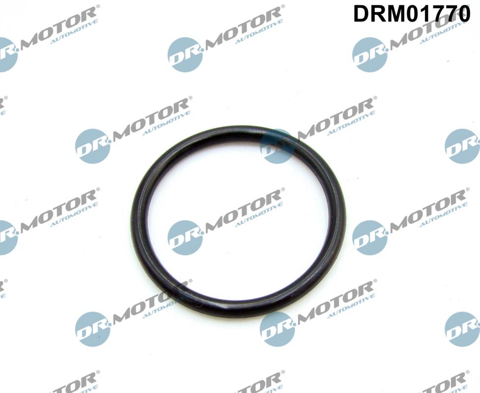 Dr.Motor Automotive DRM01770 Gasket, intake manifold