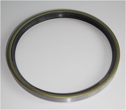 Shaft Seal, wheel hub 01003556B