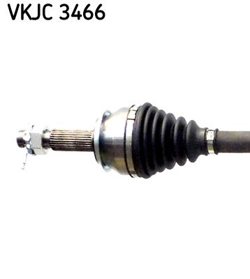 VKJC 3466_2.JPG