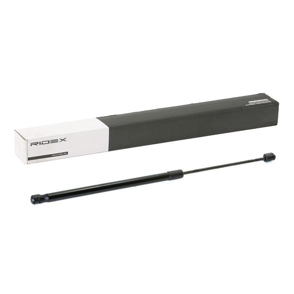 RIDEX 219G0905 Gas Spring, boot/cargo area
