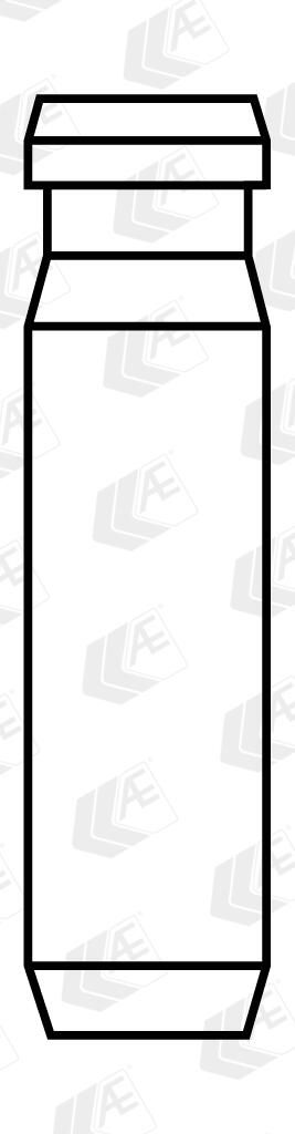 AE VAG96073B - Ventilf&uuml;hrung