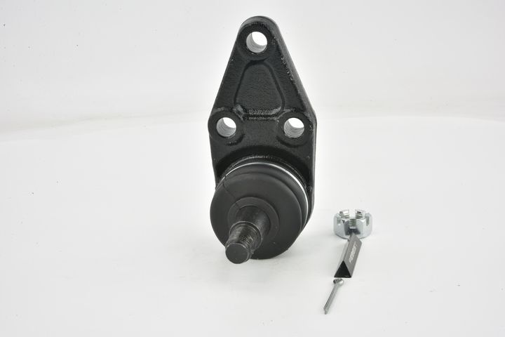 Šarnyras / girgždukas