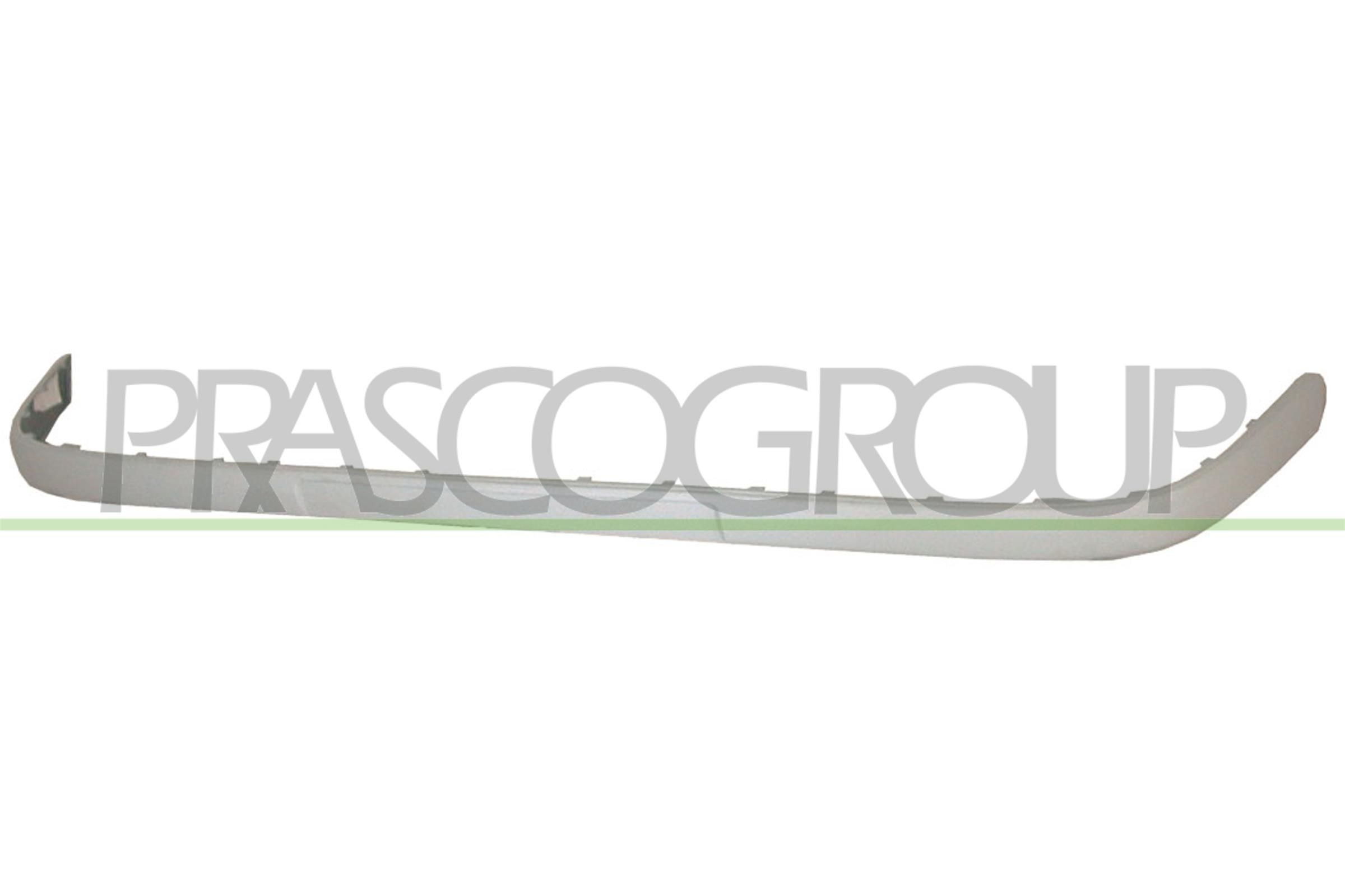 Zier-/Schutzleiste, Sto&szlig;f&auml;nger