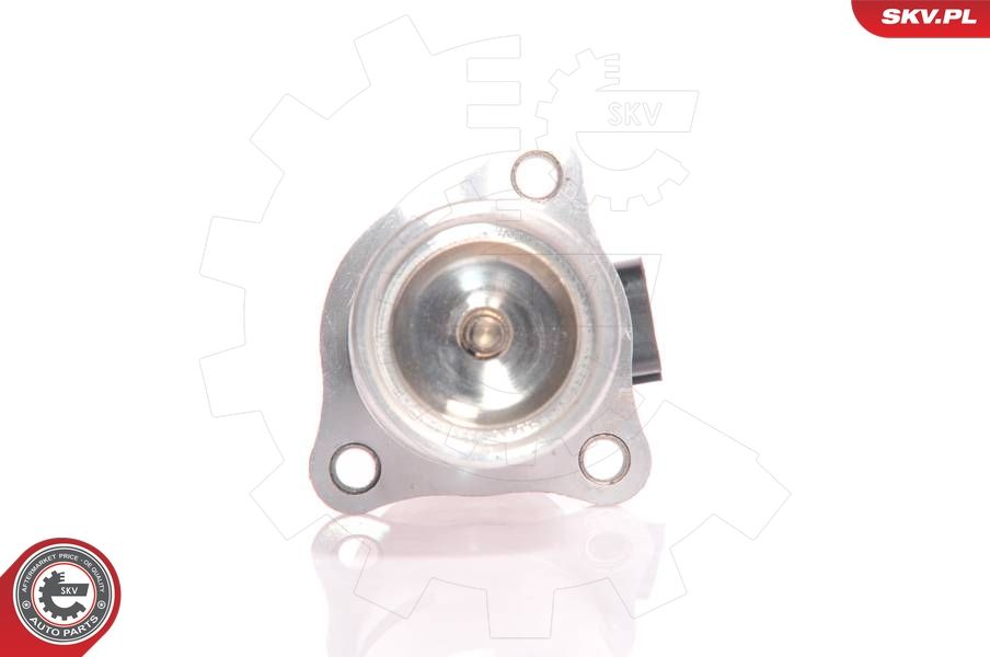 EGR Valve 14SKV010