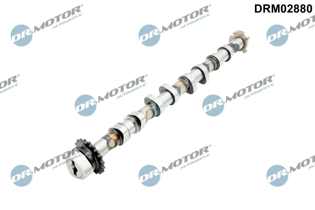Dr.Motor Automotive DRM02880 - Nockenwelle