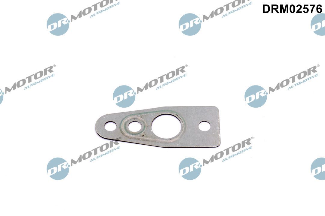 Dr.Motor Automotive DRM02576 - Dichtung, &Ouml;lauslass (Lader)