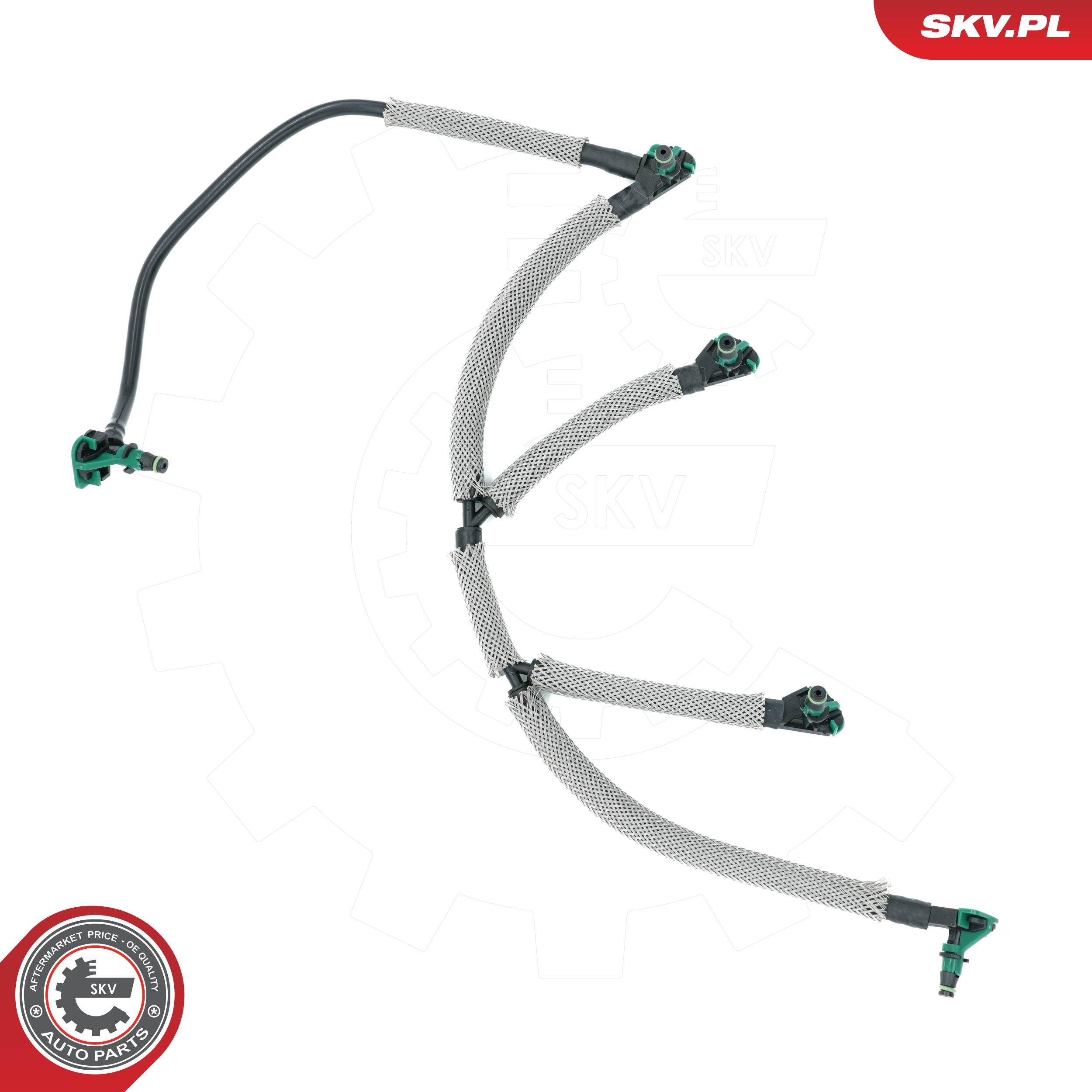 Schlauch, Leckkraftstoff