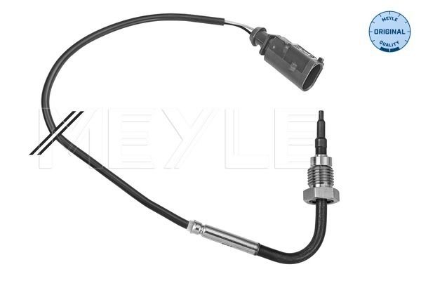 Sensor, Abgastemperatur