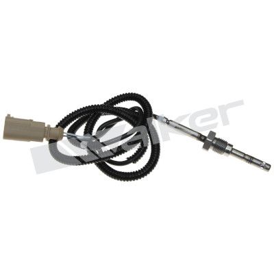 Sensor, de temperatura de gas de escape