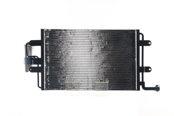 402146910.JPG