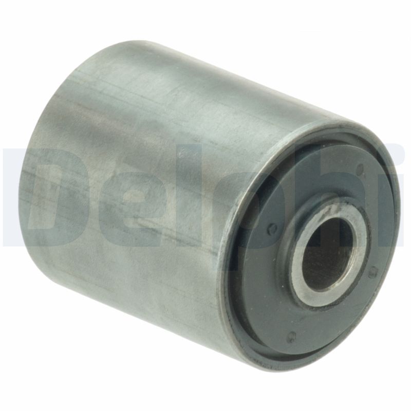 DELPHI TD1193W - Lagerung, Blattfeder