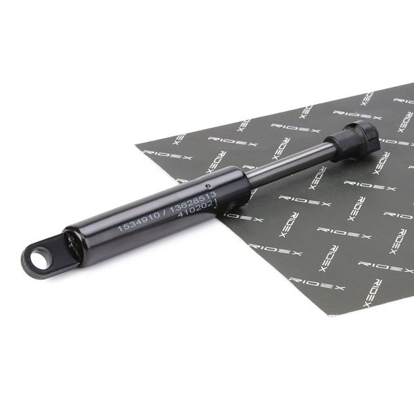 RIDEX 219G0670 Gas Spring, boot/cargo area