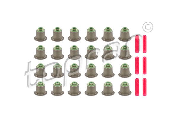 Dichtungssatz, Ventilschaft