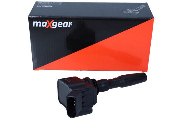 MG-9068_3_LARGE.JPG