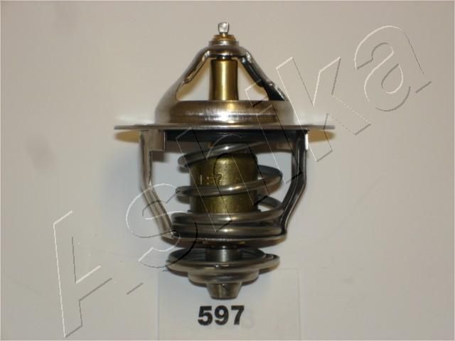 Thermostat, coolant 38-05-597