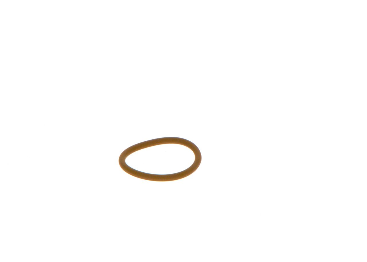Dichtring