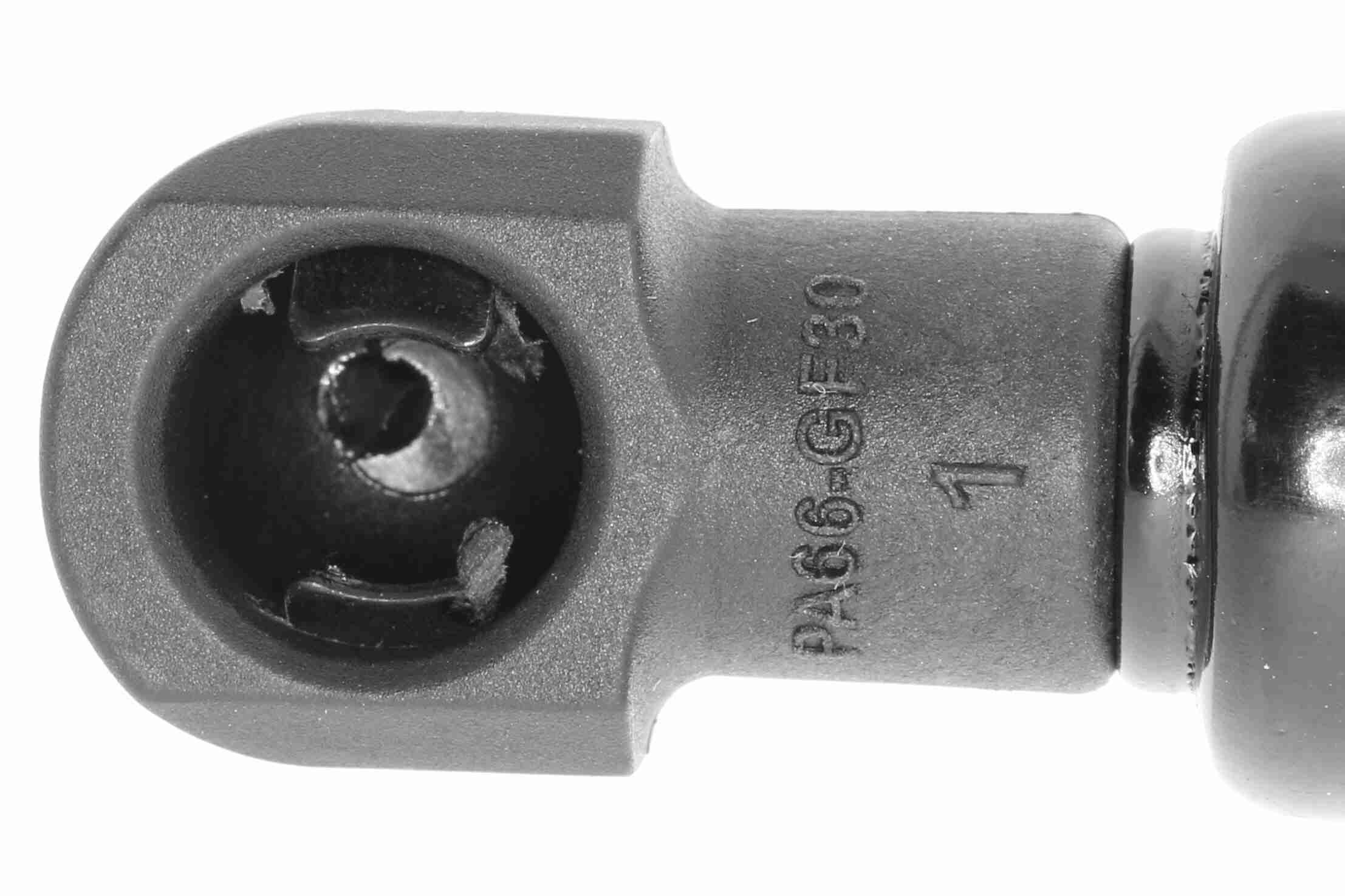 Gasfeder, Koffer-/Laderaum