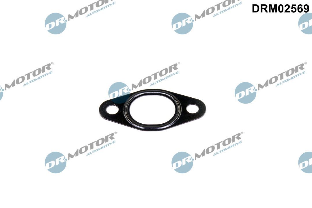 Dr.Motor Automotive DRM02569 Gasket, EGR valve pipe
