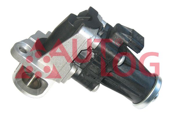 EGR Valve AV6077