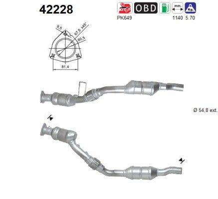 AS 42228 - Katalysator