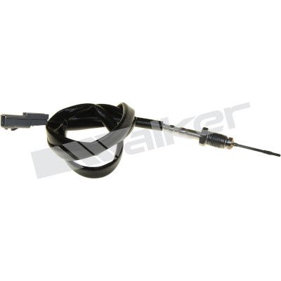 Sensor, de temperatura de gas de escape