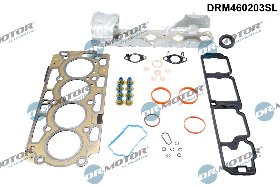 Dr.Motor Automotive DRM460203SL - Dichtungsvollsatz, Motor